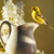 photograph of "American Goldfinch"
